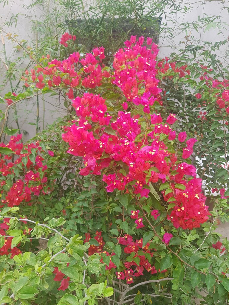 20260222_081754.jpg
