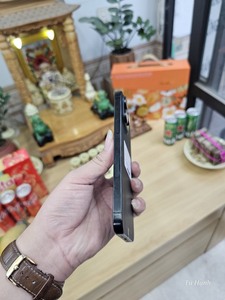 1000003102.jpg