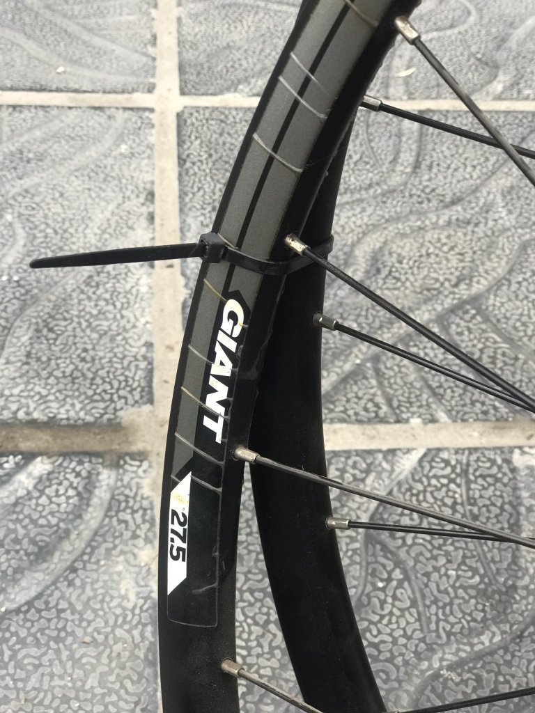 8833629-04a2d3bda4e152ce26542b53589131f5 - Copy.jpeg