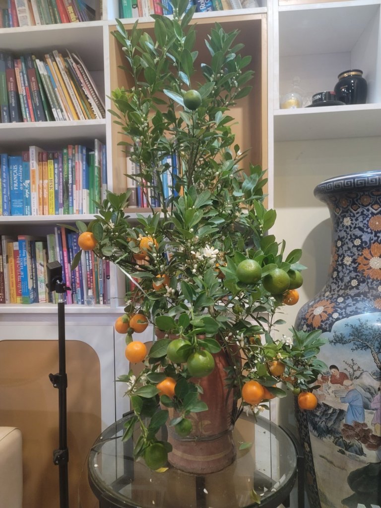20260217_010934.jpg