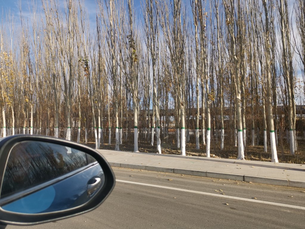 IMG_20251019_175209.jpg