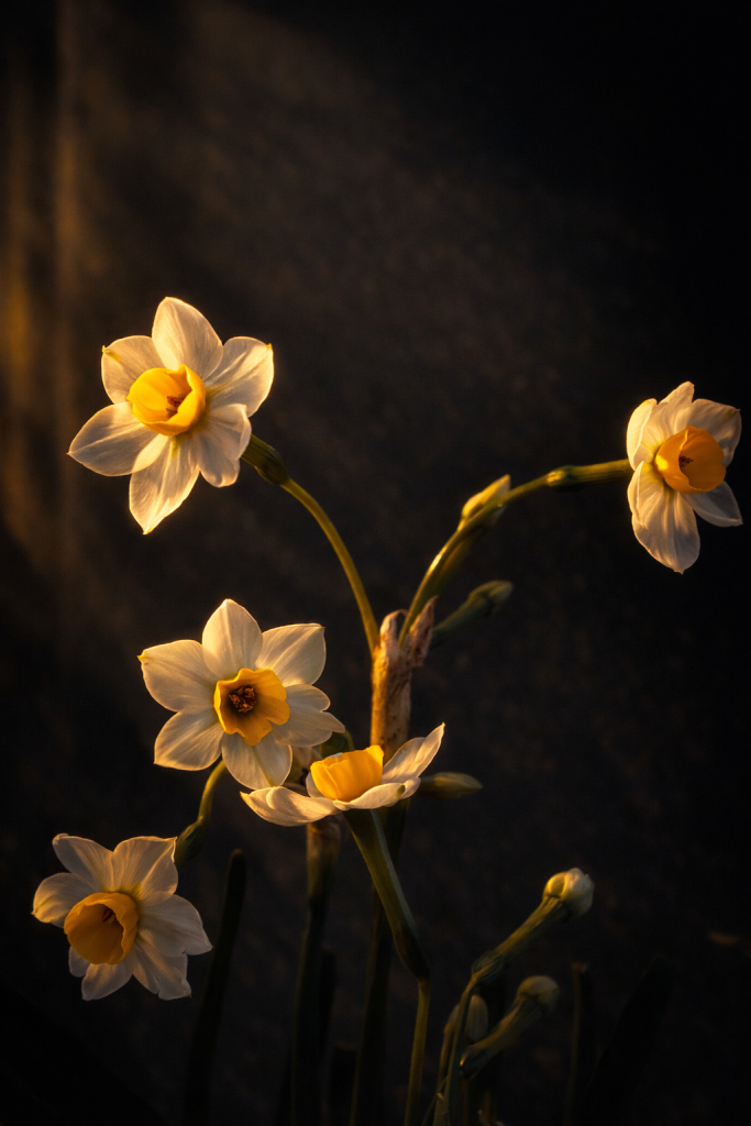 IMG_8791.png