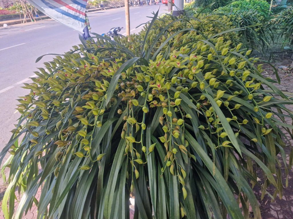 1000087137.jpg