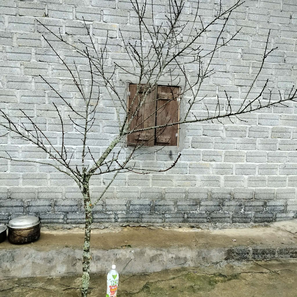 1000087184.jpg