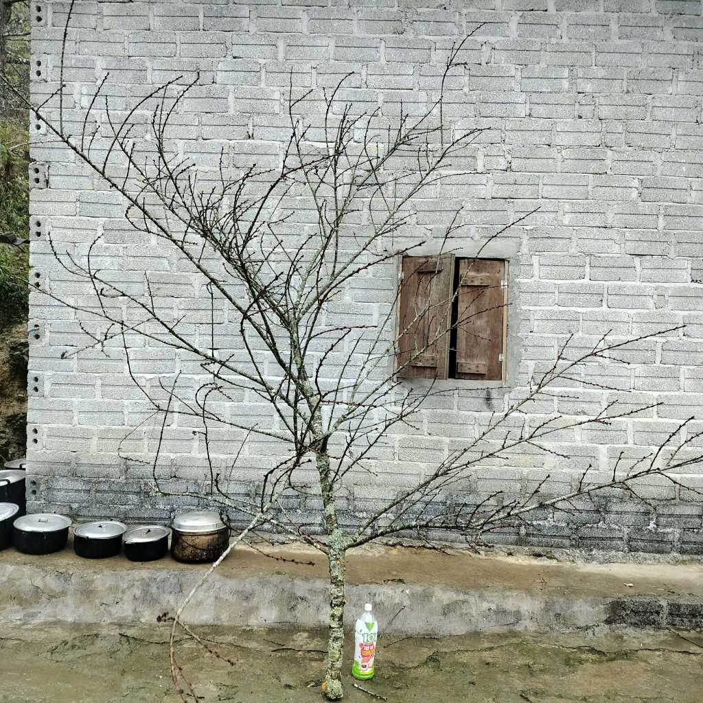 1000087181.jpg