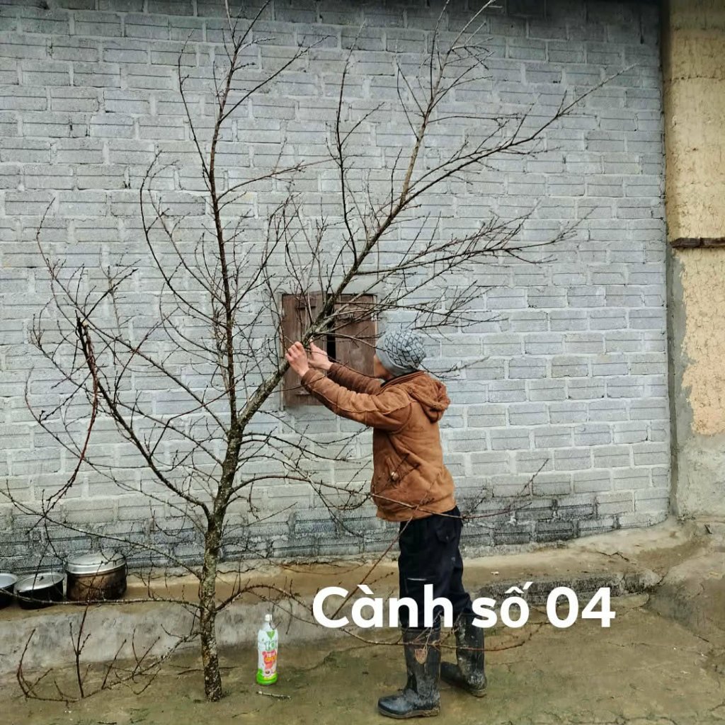 1000087195.jpg