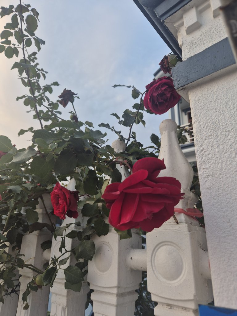 20250127_172123.jpg