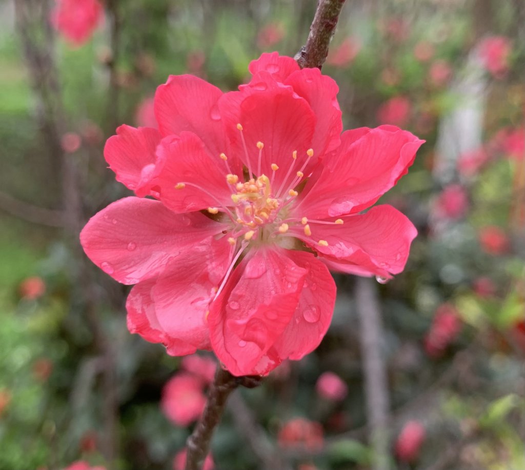 IMG_5926.jpeg