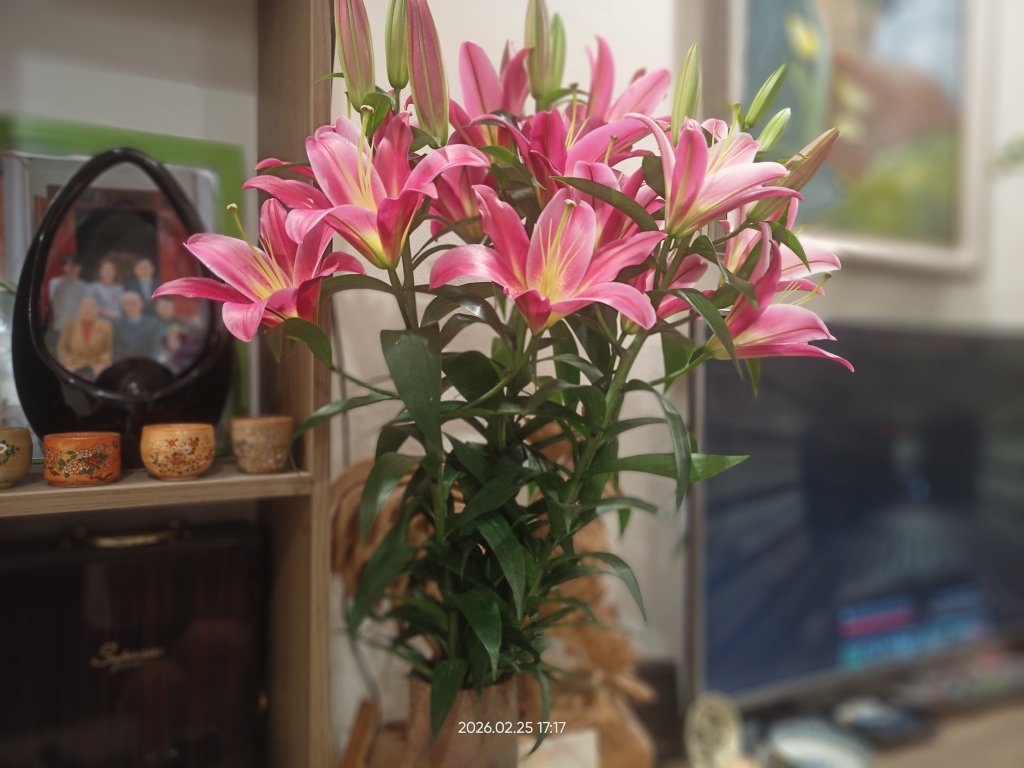 IMG20260225171750.jpg