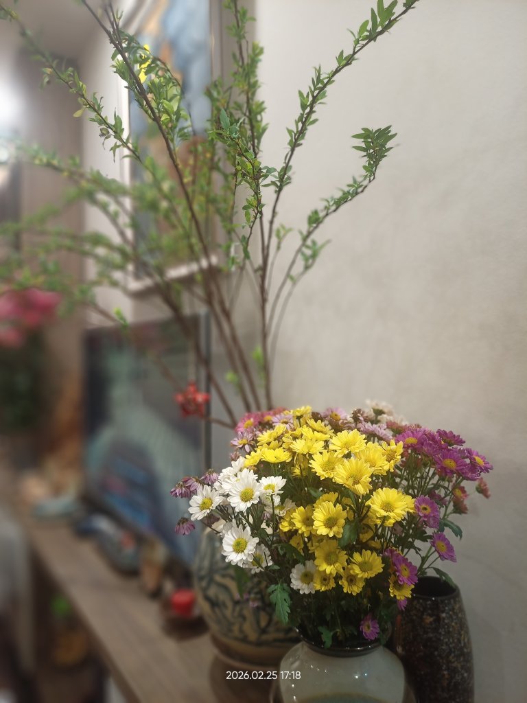IMG20260225171823.jpg