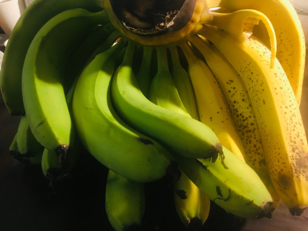 9D2F0C05-D926-48DA-9132-B71E307022EF.jpeg