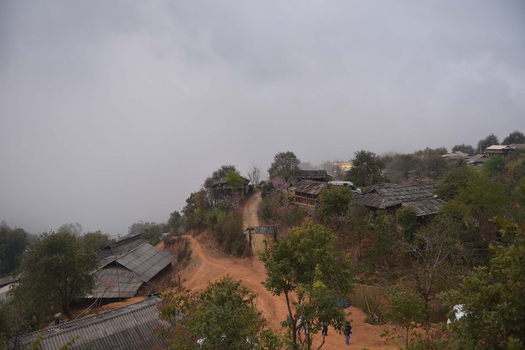 103.jpg