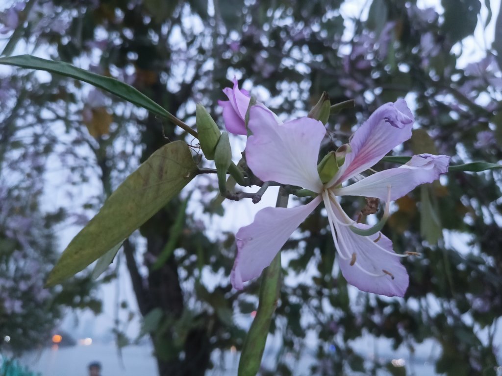 IMG20260227180051.jpg