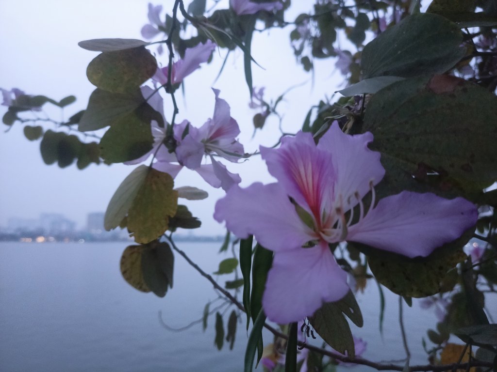 IMG20260227180127.jpg