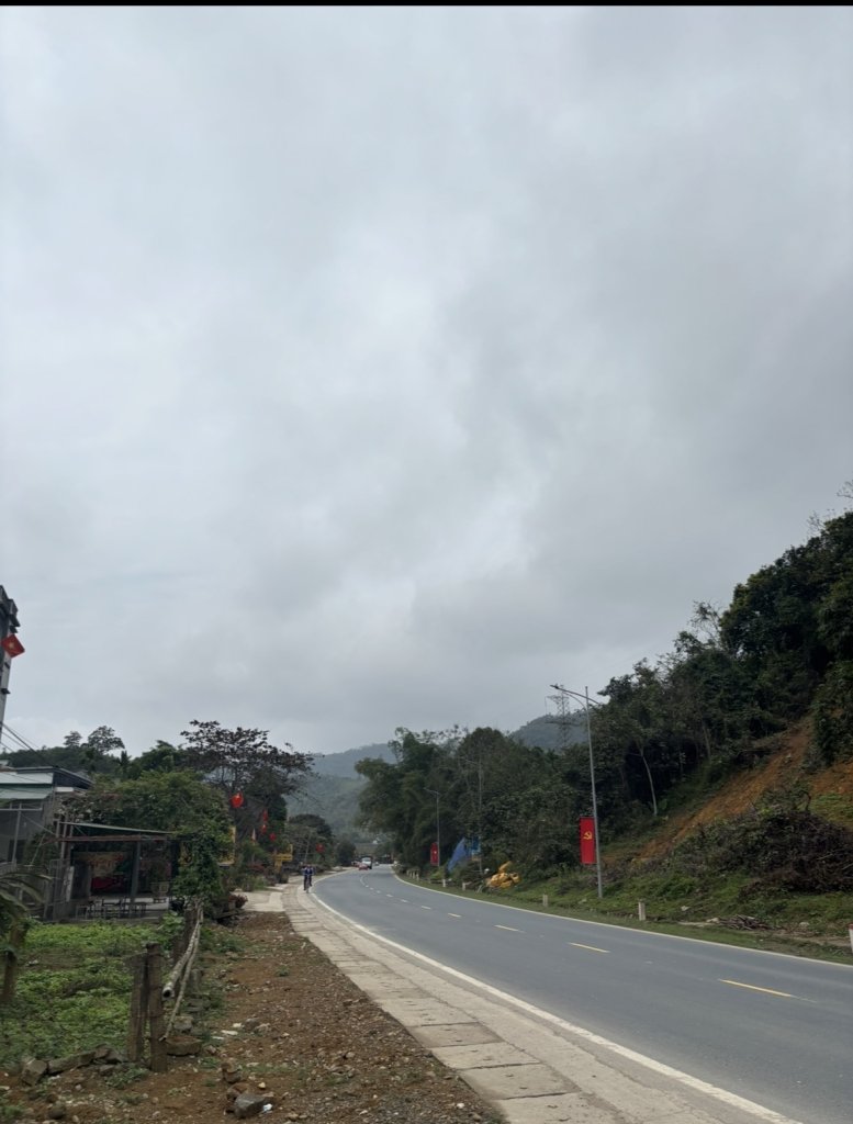 IMG_3405.jpeg