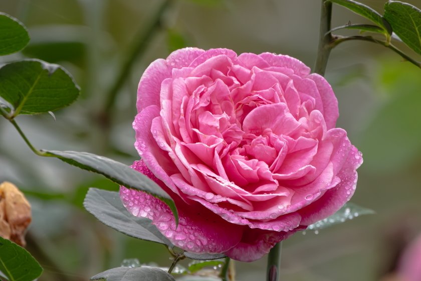 IMG_1503.JPG