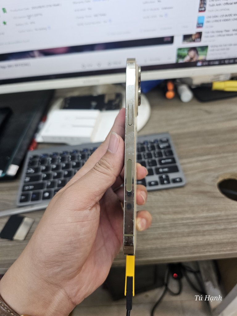 1000003481.jpg