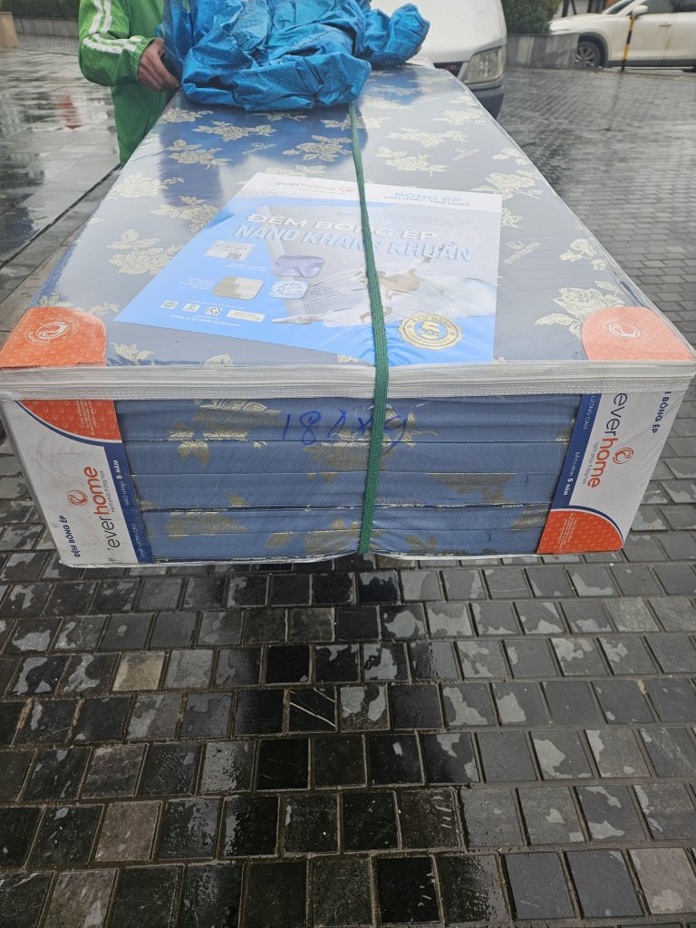 11583.jpg