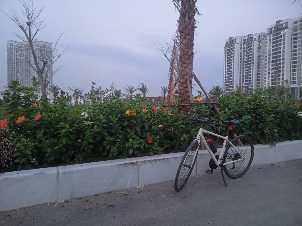 IMG20260304181147.jpg