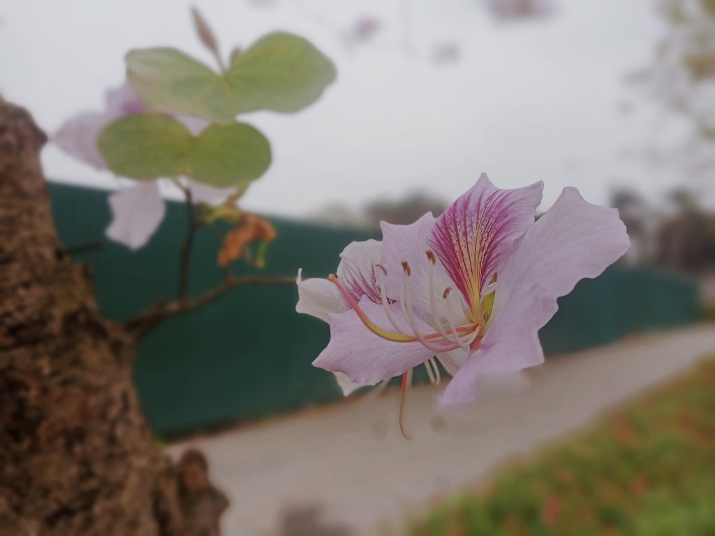MEITU_20260305_105420901.jpg