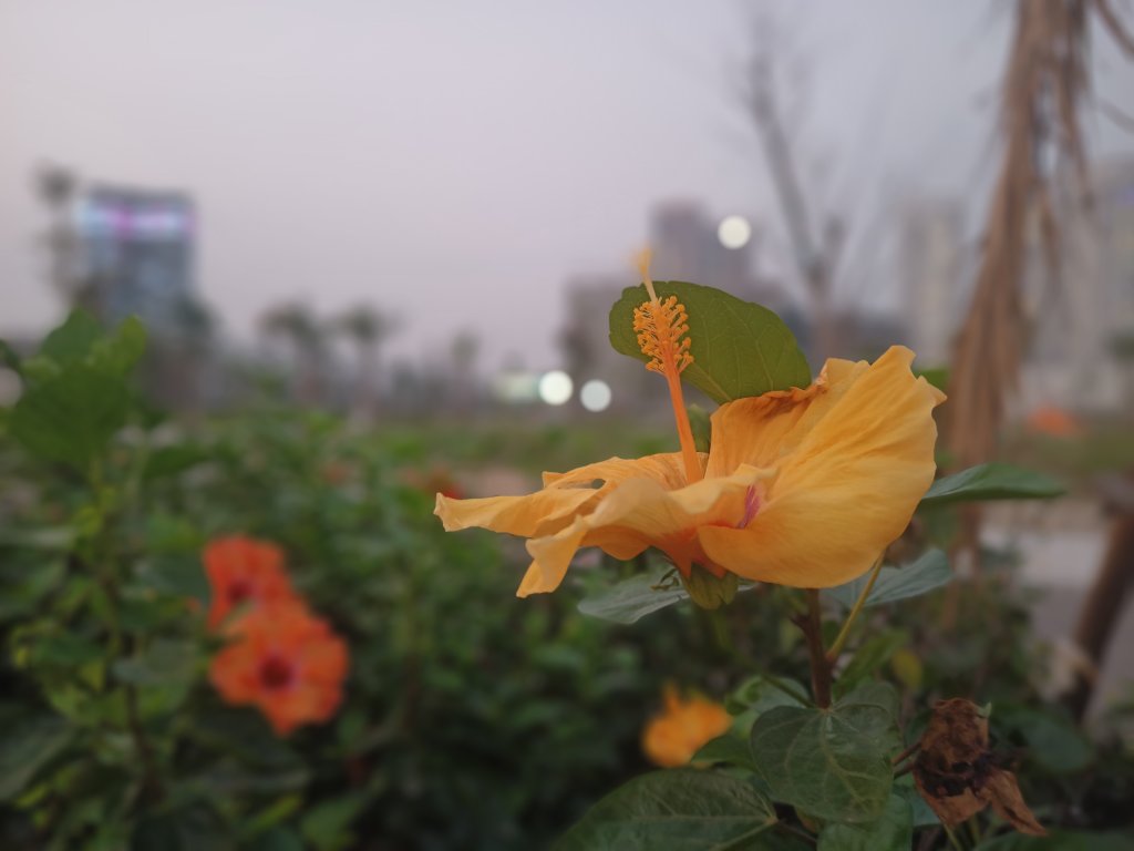 IMG20260304181403.jpg