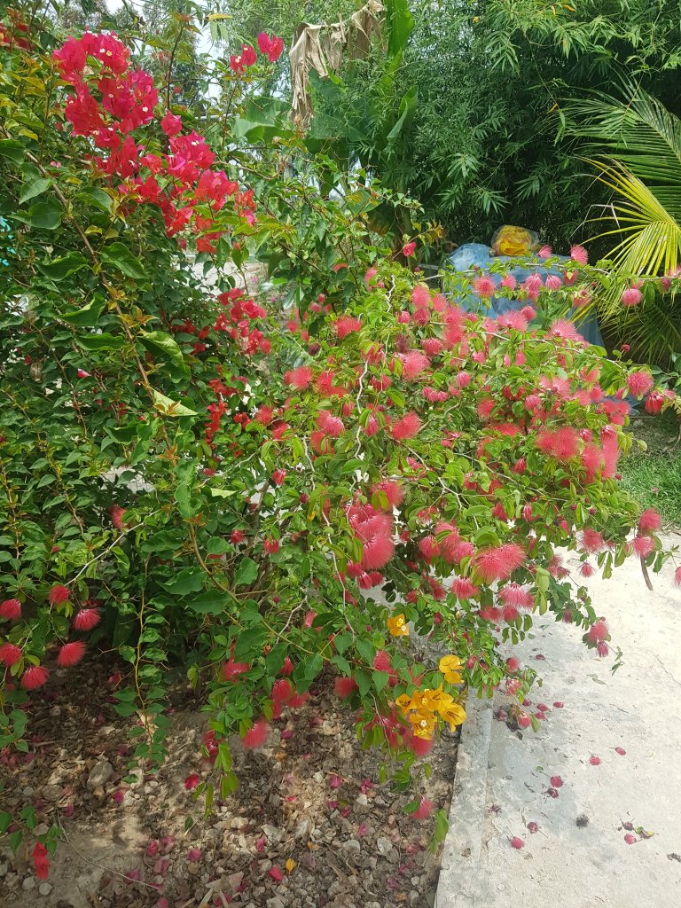 20260308_123928.jpg