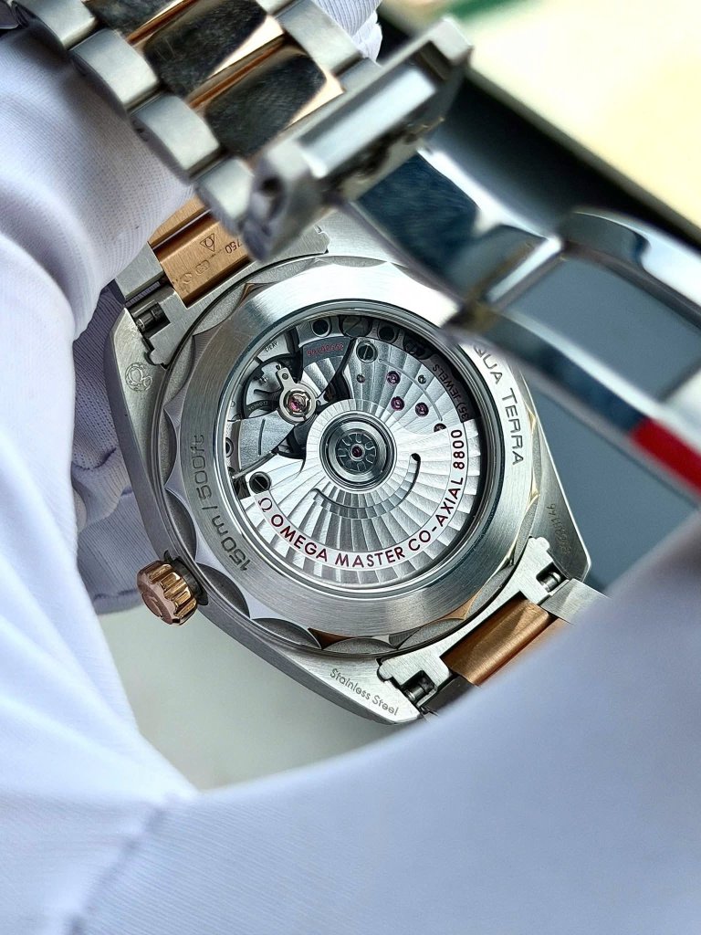 1000164138.jpg