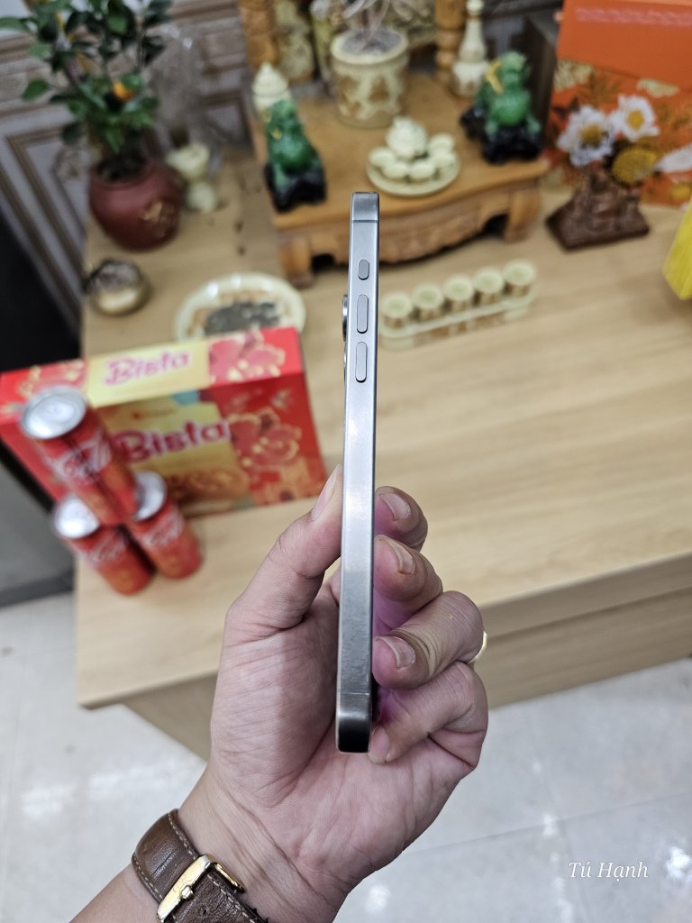 1000003702.jpg
