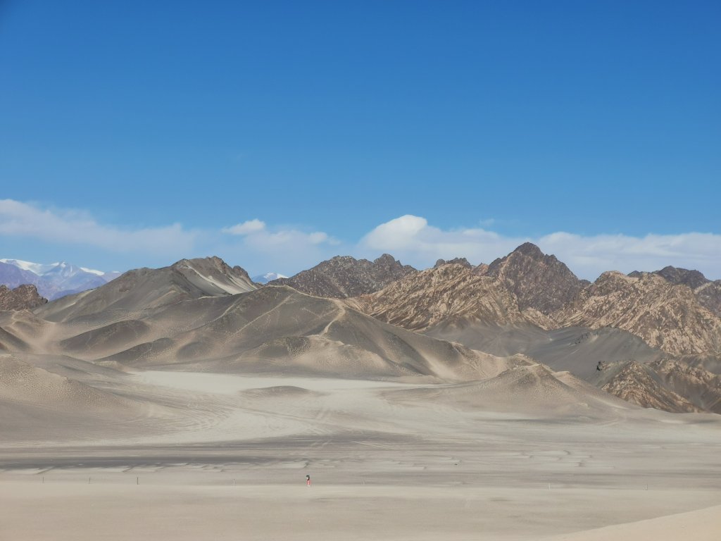 IMG_20251020_142852.jpg