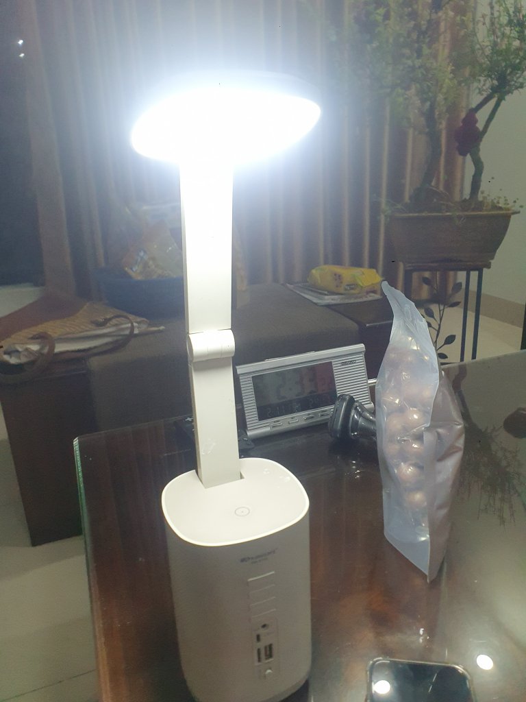 20260305_183722.jpg