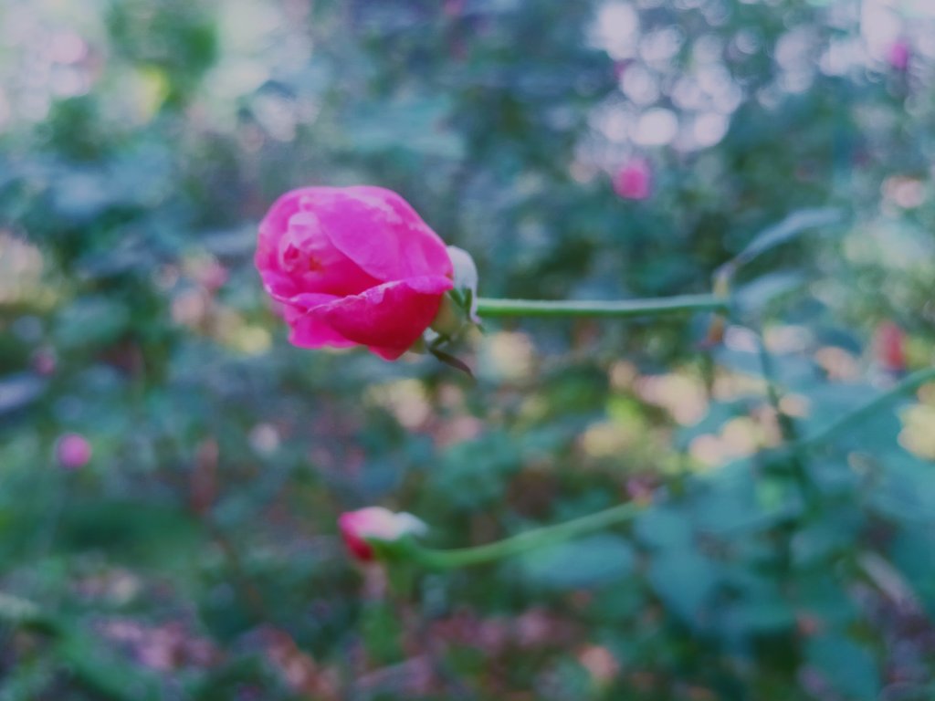 MEITU_20260310_111410889.jpg