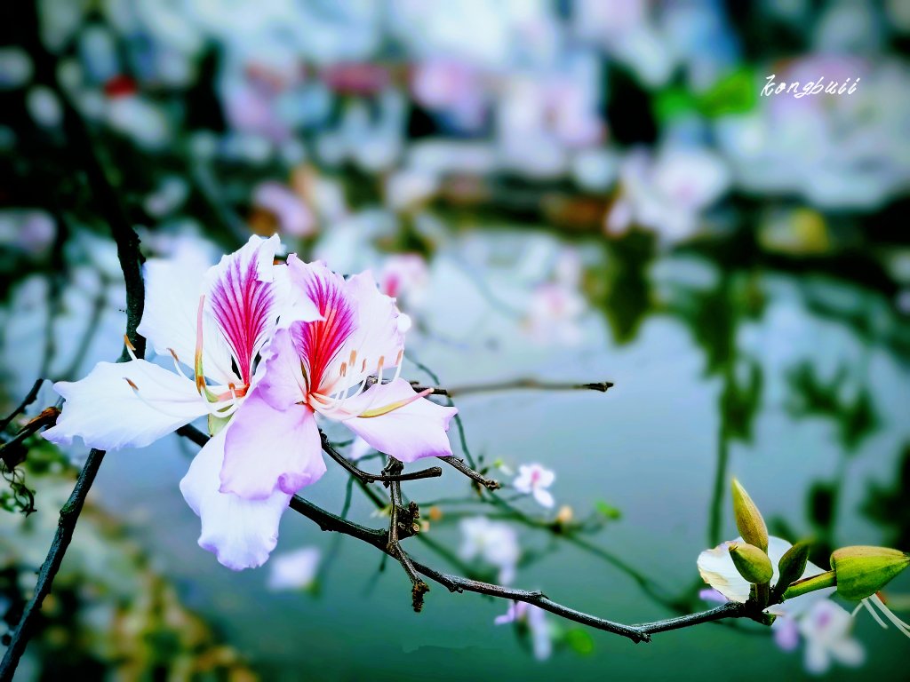 MEITU_20260311_174653941.jpg