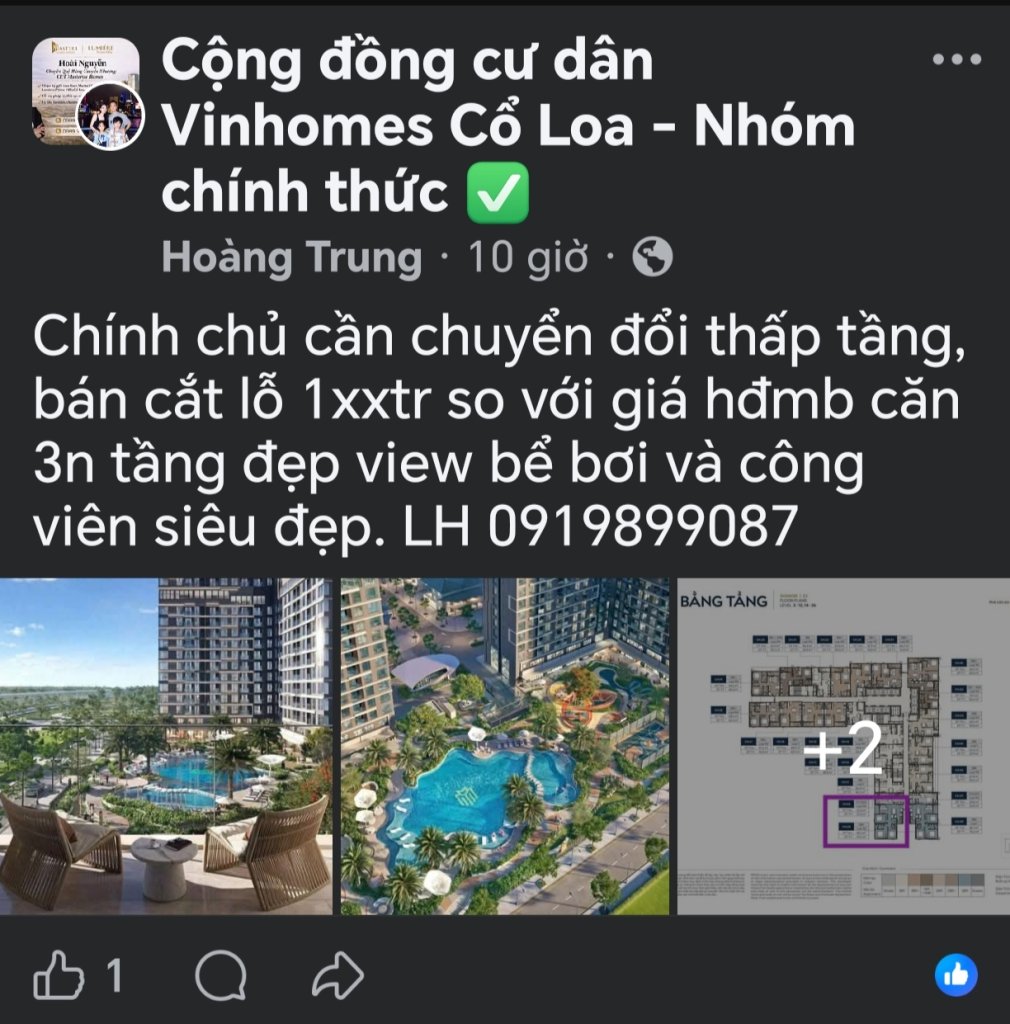 1000014703.jpg