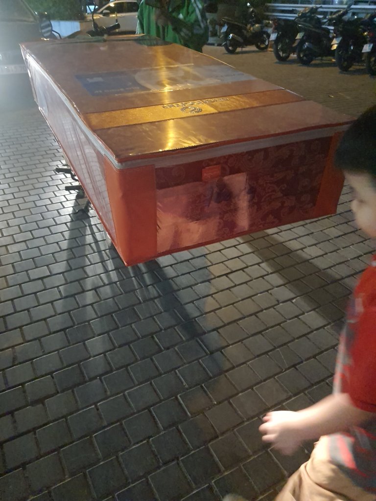 6785.jpg