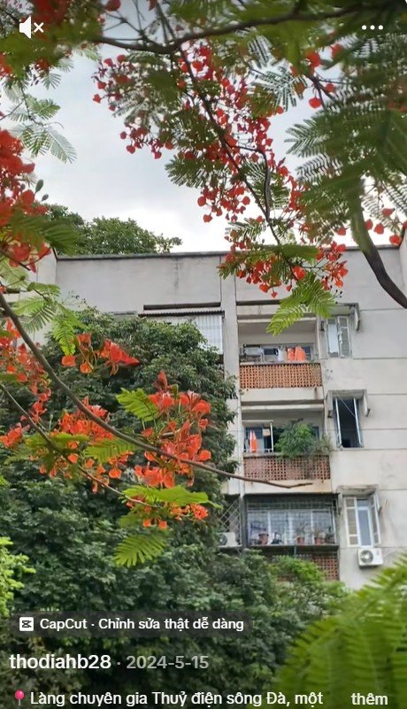 05.jpg