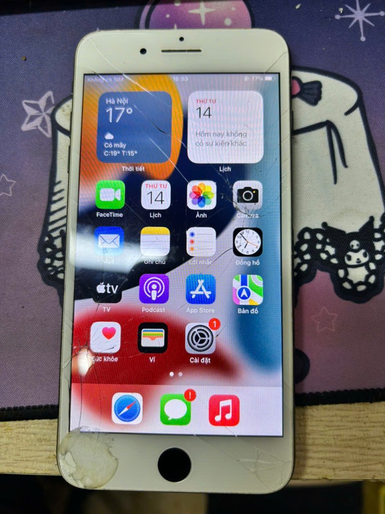 z7614596126210_d60d110099819123878782acbf869f81.jpg