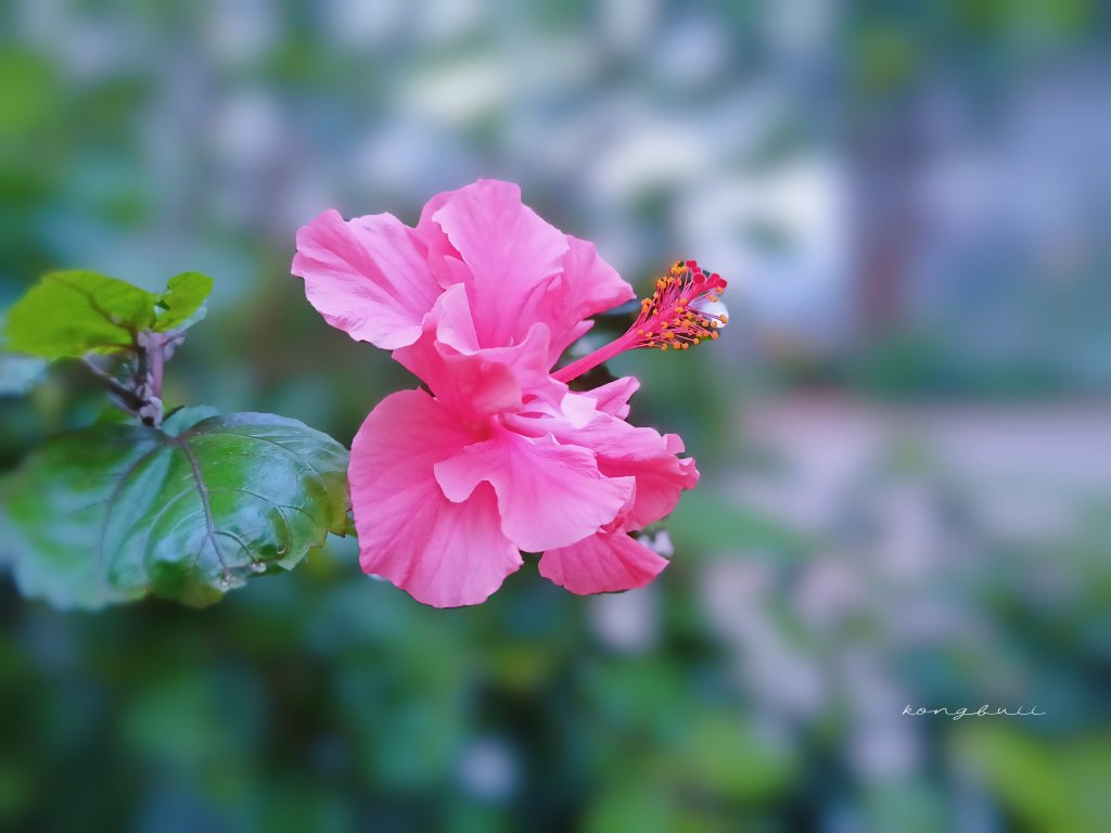 MEITU_20260312_181556253.jpg