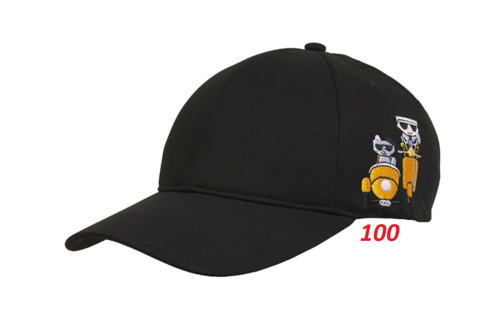 100.jpg