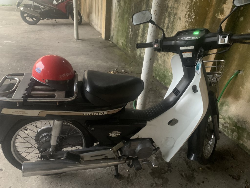 IMG_2547.jpeg
