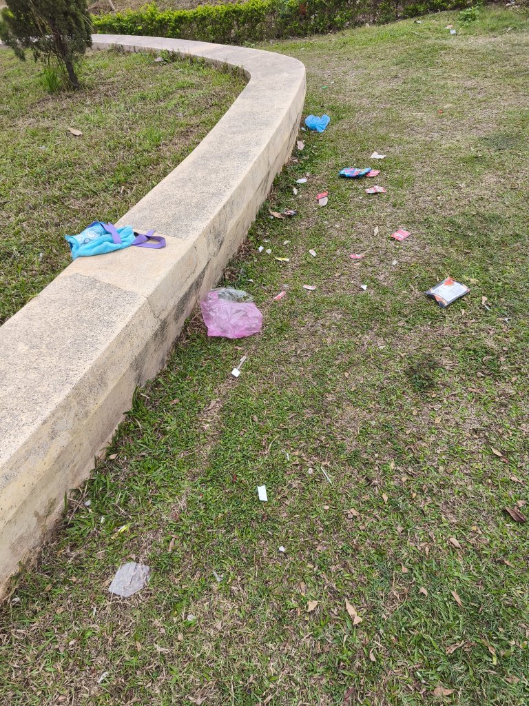 1000012951.jpg