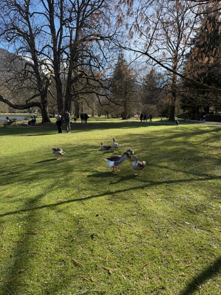 IMG_2407.jpeg