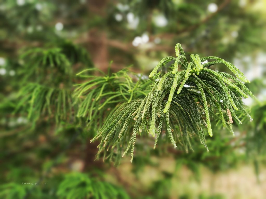 MEITU_20260316_080811288.jpg