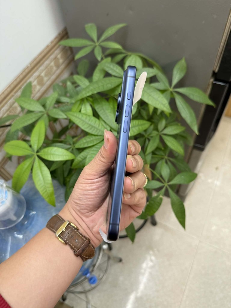 1000003776.jpg