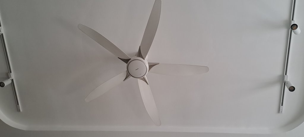 20260316_123518.jpg