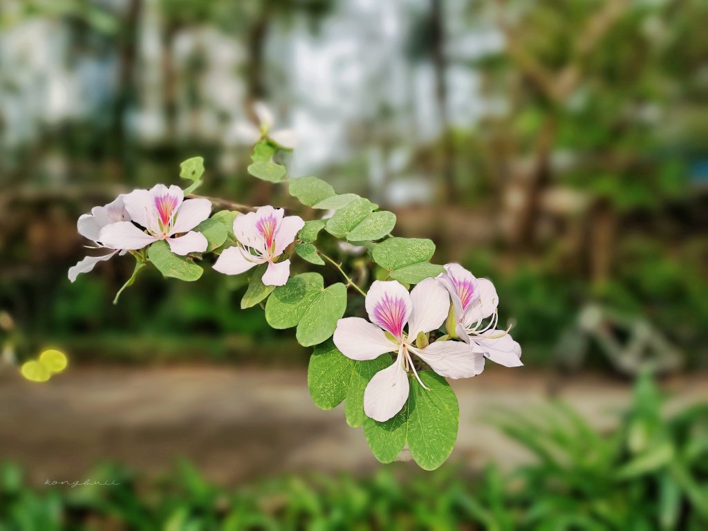 MEITU_20260316_101541780.jpg