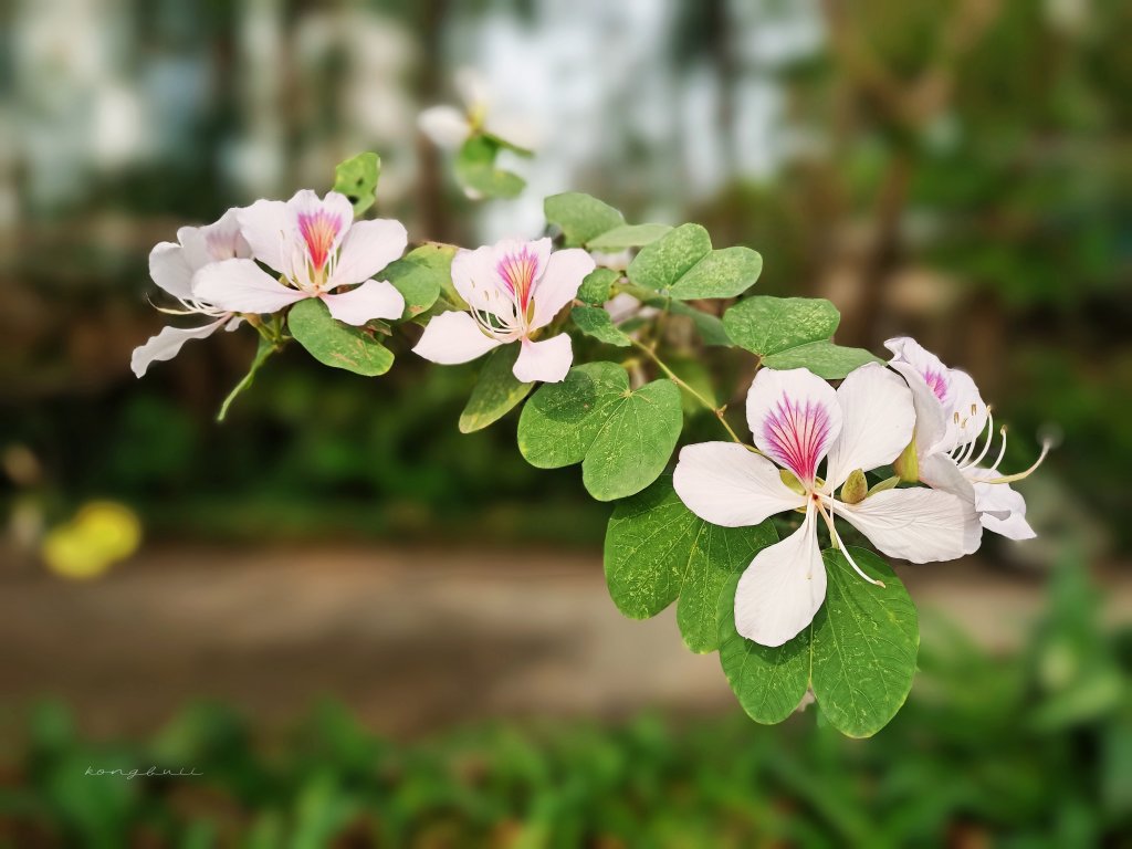 MEITU_20260316_100927402.jpg