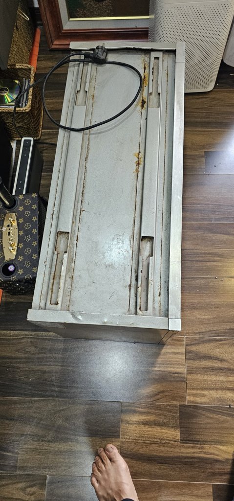1000082750.jpg