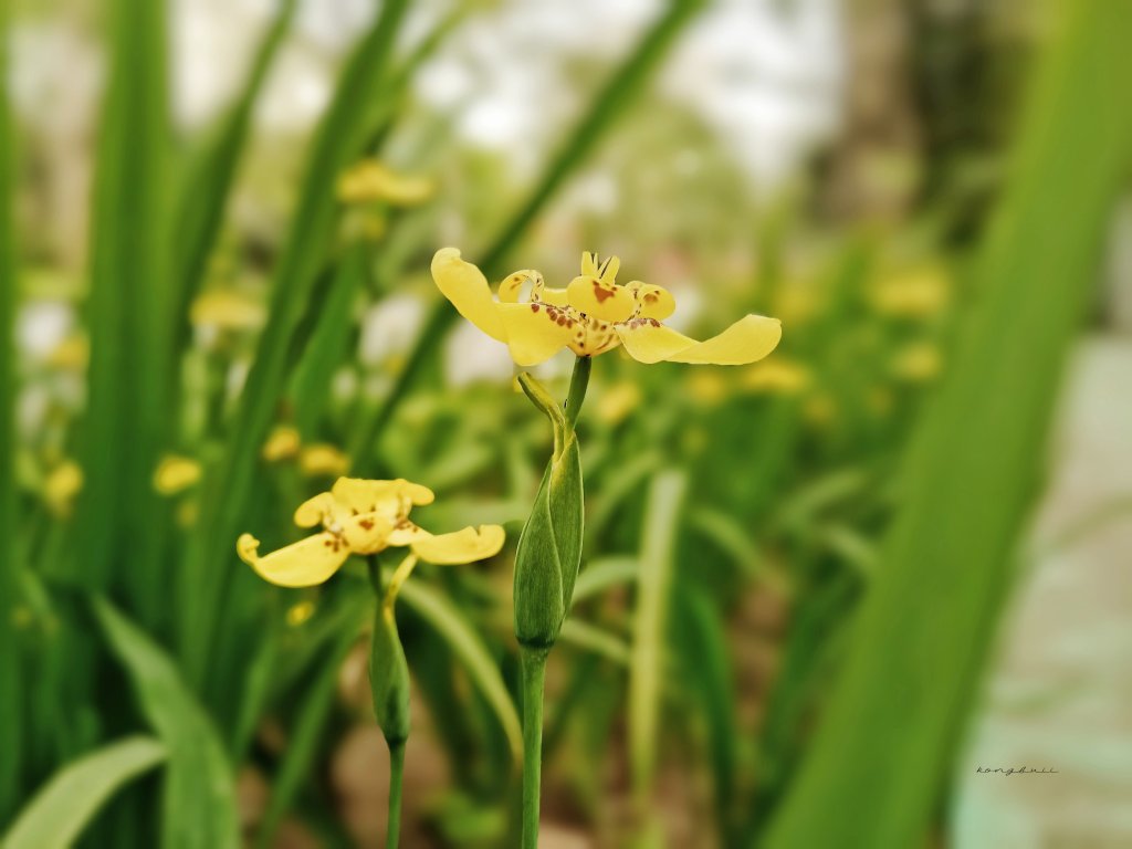 MEITU_20260317_094556010.jpg