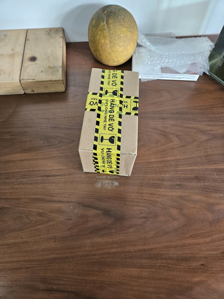 28891.jpg