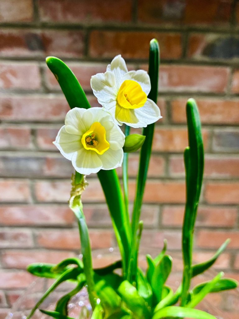 IMG_5014.jpeg
